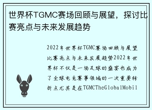 世界杯TGMC赛场回顾与展望，探讨比赛亮点与未来发展趋势